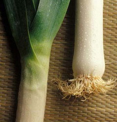 Terbiyeli Pirasa - A Turkish Leek Dish Terbiyeli Pirasa - A Turkish Leek Dish