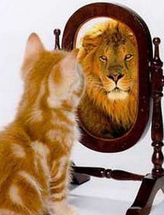 What do you see in the mirror....?